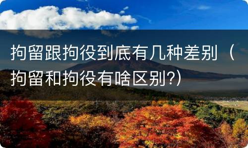 拘留跟拘役到底有几种差别（拘留和拘役有啥区别?）