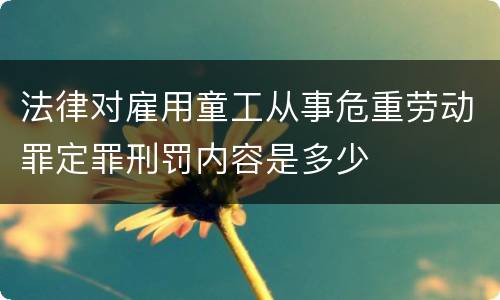 法律对雇用童工从事危重劳动罪定罪刑罚内容是多少