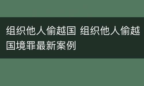 组织他人偷越国 组织他人偷越国境罪最新案例