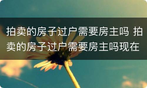拍卖的房子过户需要房主吗 拍卖的房子过户需要房主吗现在