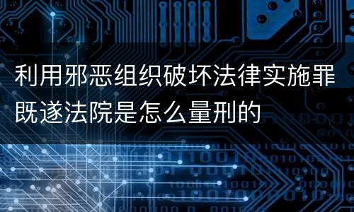 利用邪恶组织破坏法律实施罪既遂法院是怎么量刑的