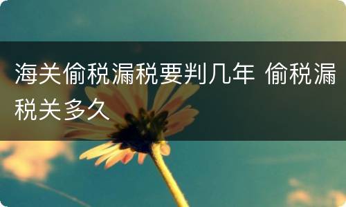 海关偷税漏税要判几年 偷税漏税关多久