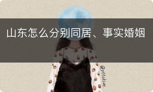山东怎么分别同居、事实婚姻