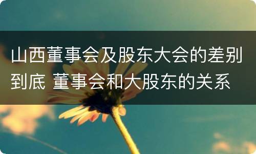 山西董事会及股东大会的差别到底 董事会和大股东的关系