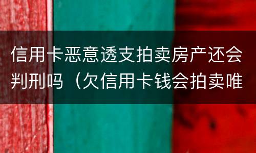 信用卡恶意透支拍卖房产还会判刑吗（欠信用卡钱会拍卖唯一房产吗）