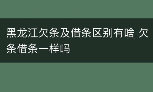 黑龙江欠条及借条区别有啥 欠条借条一样吗