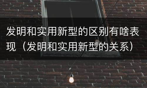 发明和实用新型的区别有啥表现（发明和实用新型的关系）