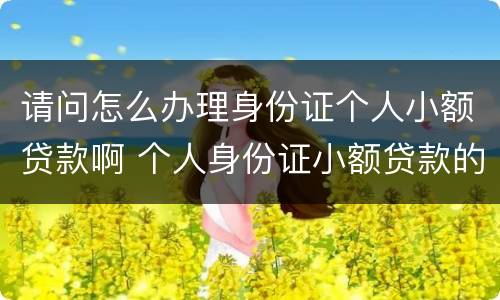 请问怎么办理身份证个人小额贷款啊 个人身份证小额贷款的正规公司