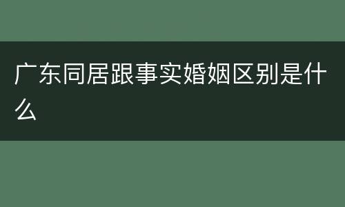 广东同居跟事实婚姻区别是什么