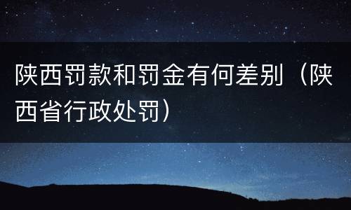 陕西罚款和罚金有何差别（陕西省行政处罚）