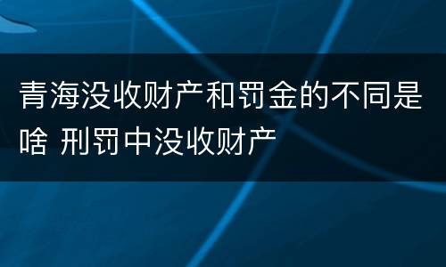青海没收财产和罚金的不同是啥 刑罚中没收财产