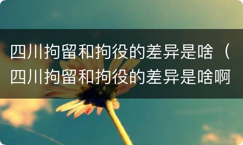 四川拘留和拘役的差异是啥（四川拘留和拘役的差异是啥啊）