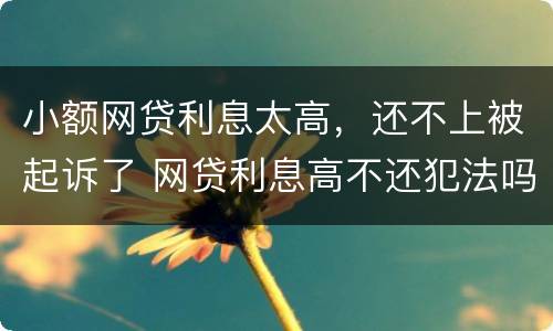 小额网贷利息太高，还不上被起诉了 网贷利息高不还犯法吗