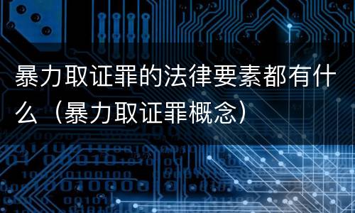 暴力取证罪的法律要素都有什么（暴力取证罪概念）