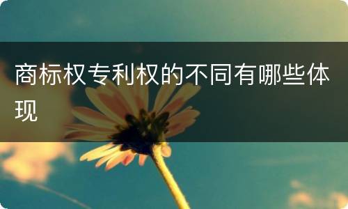 商标权专利权的不同有哪些体现