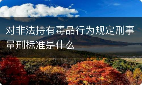 对非法持有毒品行为规定刑事量刑标准是什么