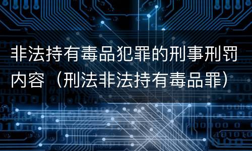 非法持有毒品犯罪的刑事刑罚内容（刑法非法持有毒品罪）