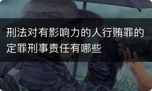 刑法对有影响力的人行贿罪的定罪刑事责任有哪些