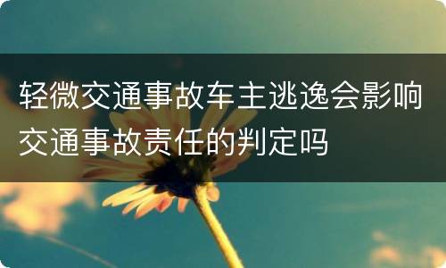 轻微交通事故车主逃逸会影响交通事故责任的判定吗