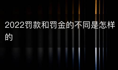 2022罚款和罚金的不同是怎样的