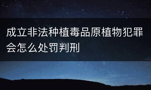 成立非法种植毒品原植物犯罪会怎么处罚判刑