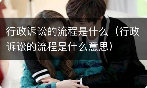 行政诉讼的流程是什么（行政诉讼的流程是什么意思）