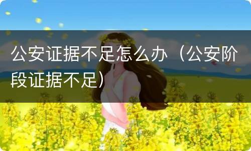 公安证据不足怎么办（公安阶段证据不足）