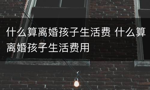 什么算离婚孩子生活费 什么算离婚孩子生活费用