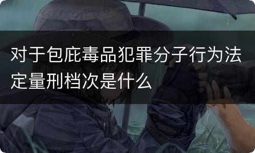对于包庇毒品犯罪分子行为法定量刑档次是什么
