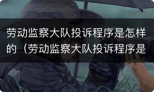 劳动监察大队投诉程序是怎样的（劳动监察大队投诉程序是怎样的呢）