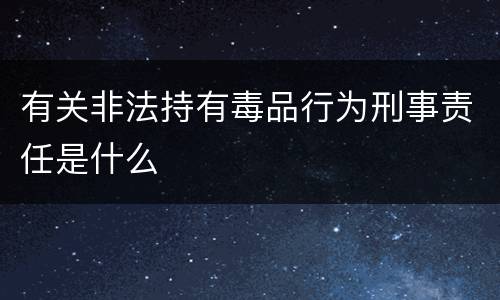 有关非法持有毒品行为刑事责任是什么