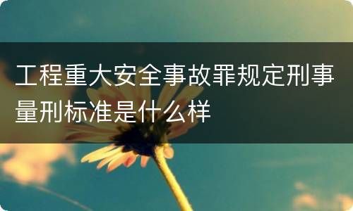 工程重大安全事故罪规定刑事量刑标准是什么样