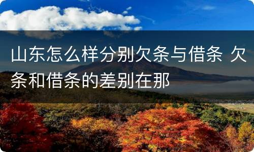 山东怎么样分别欠条与借条 欠条和借条的差别在那