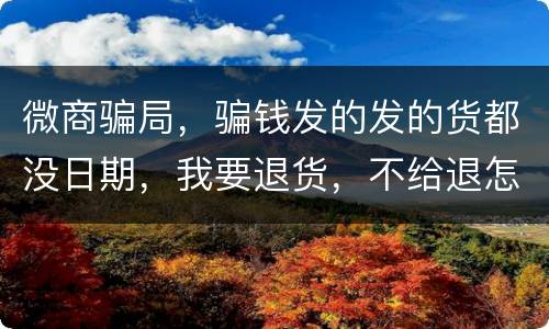 微商骗局，骗钱发的发的货都没日期，我要退货，不给退怎么办