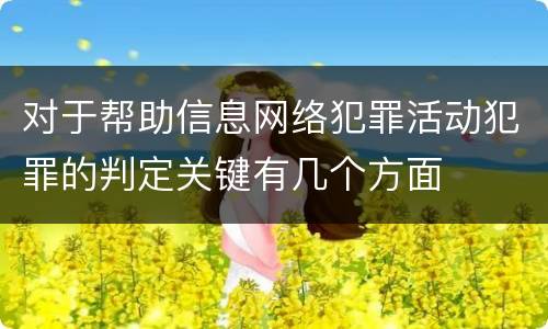 对于帮助信息网络犯罪活动犯罪的判定关键有几个方面