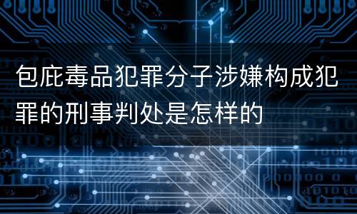 包庇毒品犯罪分子涉嫌构成犯罪的刑事判处是怎样的