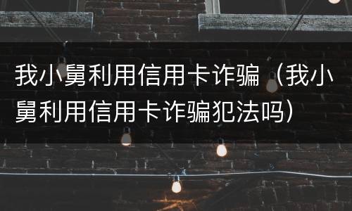 我小舅利用信用卡诈骗（我小舅利用信用卡诈骗犯法吗）