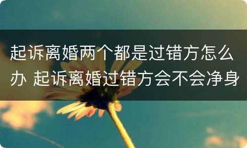起诉离婚两个都是过错方怎么办 起诉离婚过错方会不会净身出户