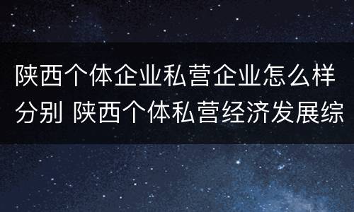 陕西个体企业私营企业怎么样分别 陕西个体私营经济发展综合服务平台