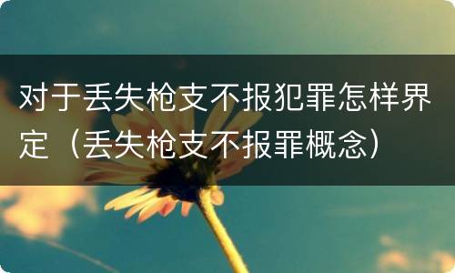 对于丢失枪支不报犯罪怎样界定（丢失枪支不报罪概念）