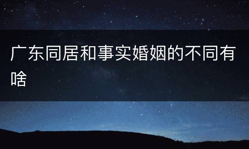 广东同居和事实婚姻的不同有啥