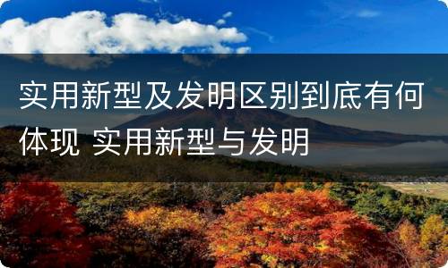 实用新型及发明区别到底有何体现 实用新型与发明