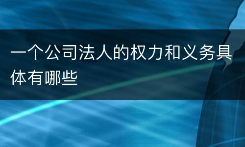 一个公司法人的权力和义务具体有哪些