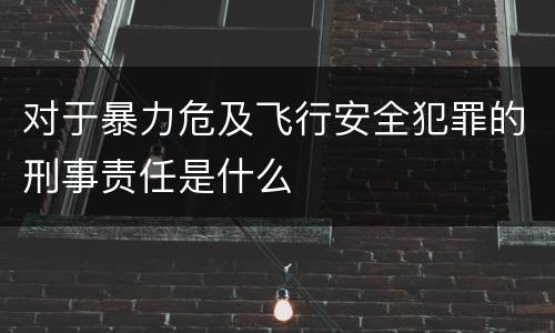 对于暴力危及飞行安全犯罪的刑事责任是什么