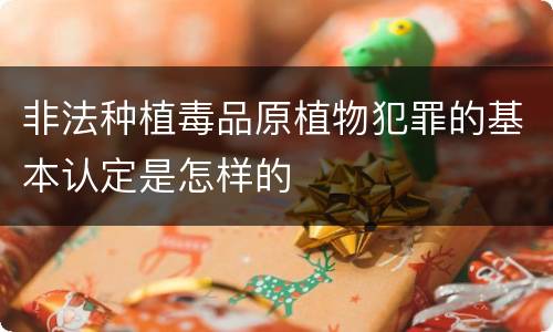 非法种植毒品原植物犯罪的基本认定是怎样的