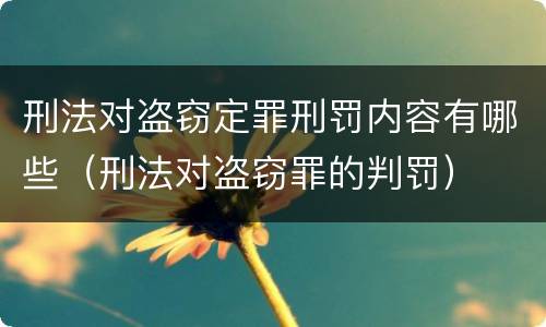 刑法对盗窃定罪刑罚内容有哪些（刑法对盗窃罪的判罚）