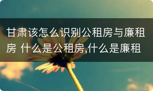 甘肃该怎么识别公租房与廉租房 什么是公租房,什么是廉租房