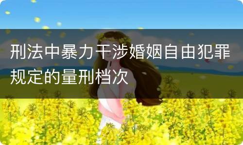 刑法中暴力干涉婚姻自由犯罪规定的量刑档次