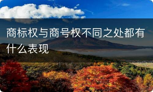 商标权与商号权不同之处都有什么表现