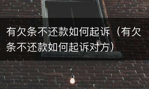 有欠条不还款如何起诉（有欠条不还款如何起诉对方）